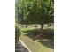 Beautifully landscaped yard with lush green grass and mature trees offering shade, perfect for relaxation at 602 N May St # 65, Mesa, AZ 85201