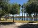 Scenic community lake surrounded by lush trees and grassy areas on a bright, sunny day at 10489 S 182Nd Dr, Goodyear, AZ 85338