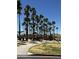 Community park featuring covered picnic areas and tall palm trees providing ample shade at 10489 S 182Nd Dr, Goodyear, AZ 85338