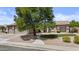 Charming home with mature tree in front yard, desert landscaping, and inviting walkway at 1182 E Canyon Way, Chandler, AZ 85249