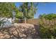 Gravel filled backyard bordered by lush bushes with mature trees along a block wall fence at 12154 S Ki Rd, Phoenix, AZ 85044