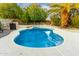 Backyard area featuring a pool with lush greenery, privacy wall, and mature palm trees at 14228 W Weldon Ave, Goodyear, AZ 85395