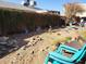Backyard needing landscaping and clearing, with a tall green hedge offering some privacy and blue chairs in the foreground at 14627 N 33Rd Ave, Phoenix, AZ 85053