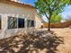 Home's backyard features desert landscaping, tree, and exterior windows at 17210 N Cassi Dr, Surprise, AZ 85374