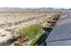 Aerial view of the property highlighting the backyard, mature landscaping, turf and block fence at 19215 N 259Th Ave, Buckeye, AZ 85396
