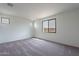 Bright bedroom features neutral carpet, natural light from windows, and ample space at 39965 W Bunker Dr, Maricopa, AZ 85138