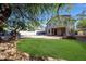 Expansive backyard featuring lush lawn, mature trees, patio, a swimming pool with rock features, and a well-maintained yard at 7336 E Overlook Dr, Scottsdale, AZ 85255