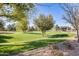 Expansive green space with mature trees and walking paths offers residents a peaceful outdoor environment at 809 S 120Th Ave, Avondale, AZ 85323