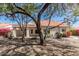 Backyard with trees, lush landscaping and neutral colored home at 9204 N 106Th Way, Scottsdale, AZ 85258