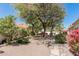 Beautifully landscaped backyard with mature trees, flowering bushes and stone accents at 9204 N 106Th Way, Scottsdale, AZ 85258