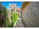 Charming walkway leading to the front door, complemented by textured walls and vibrant greenery for added curb appeal at 9847 E Michigan Ave, Sun Lakes, AZ 85248
