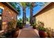 Welcoming front entrance with lush landscaping, brick path, and tall palm trees enhancing curb appeal at 17673 E Bronco Dr, Queen Creek, AZ 85142