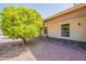 Mature fruit tree featured in backyard with gravel landscaping and covered patio at 1871 Leisure World --, Mesa, AZ 85206