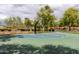 Outdoor basketball court with lush trees, providing a great space for community recreation at 26733 W Melinda Ln, Buckeye, AZ 85396