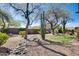 Landscaped backyard featuring desert plants, trees, gravel, and an oval lawn bordered by stone edging at 29023 N 48Th Ct, Cave Creek, AZ 85331