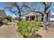 Picturesque backyard with desert landscaping, mature trees, and a glimpse of the pool and patio at 29023 N 48Th Ct, Cave Creek, AZ 85331