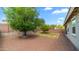 Spacious backyard with gravel, trees, and a covered patio perfect for outdoor entertaining at 31318 N 26Th Dr, Phoenix, AZ 85085