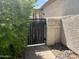 Wooden side gate with iron accents adding security and charm to the property at 3877 W Butler St, Chandler, AZ 85226