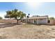 Spacious backyard featuring a mature tree, block fencing, and a covered patio, perfect for outdoor living at 5423 S Palm Dr, Tempe, AZ 85283