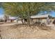 Brick single-story house with desert landscaping and mature trees at 5423 S Palm Dr, Tempe, AZ 85283