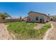 Expansive backyard featuring a patio, lush lawn, and desert landscaping, perfect for enjoying outdoor living at 914 E Pedro Rd, Phoenix, AZ 85042
