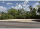 Street view of a vacant lot with trees and shrubs, ready for new construction at 11444 S 51St St, Phoenix, AZ 85044