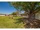 Lush backyard with mature trees, a swing, and outdoor seating creating a serene setting at 15202 N 71St Dr, Peoria, AZ 85381
