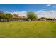 Expansive backyard featuring a well-maintained lawn, shade trees, and an outbuilding at 15202 N 71St Dr, Peoria, AZ 85381