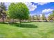 Expansive park view with large shade tree, trimmed green grass, and manicured landscaping on a sunny day at 1851 E Frye Rd # 101, Gilbert, AZ 85295