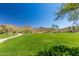 Beautifully maintained green space with walking path, desert trees, and mountains in the background at 1945 W Desert Vista Trl # 77, Phoenix, AZ 85085