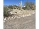 Beautifully landscaped front yard with desert plants, rocks, and cacti adds curb appeal to the home at 20042 W Colter St, Litchfield Park, AZ 85340