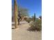 Well-maintained front yard with native desert landscaping and mature trees provides privacy and shade at 20042 W Colter St, Litchfield Park, AZ 85340