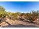 Desert backyard with cacti and shrubbery and a gorgeous view of the community at 20801 N 90Th Pl # 169, Scottsdale, AZ 85255