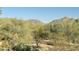 Expansive backyard view revealing lush desert vegetation and picturesque mountain ranges at 20801 N 90Th Pl # 169, Scottsdale, AZ 85255