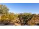 Backyard view overlooking arid desert vegetation and a distant mountain peak under a clear blue sky at 20801 N 90Th Pl # 169, Scottsdale, AZ 85255