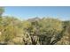 Scenic backyard view showcasing desert foliage and a distant mountain peak under a clear blue sky at 20801 N 90Th Pl # 169, Scottsdale, AZ 85255