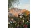 Scenic mountain view framed by lush foliage, creating a serene and natural backdrop at 2181 E 27Th Ave, Apache Junction, AZ 85119