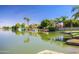 Waterfront view of boats docked along the serene lake surrounded by lush landscaping and homes at 3140 N 114Th Dr, Avondale, AZ 85392