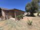 Expansive backyard featuring a covered patio, mature trees, and desert landscaping at 3621 N 65Th Ave, Phoenix, AZ 85033