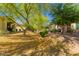 Picturesque backyard with mature trees, greenery, and attractive desert landscaping at 3910 N 163Rd Dr, Goodyear, AZ 85395