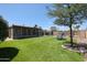 Expansive backyard featuring artificial grass, mature trees, and covered patio perfect for outdoor entertaining at 510 E Fremont Dr, Tempe, AZ 85282
