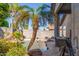 Backyard pool featuring a mature palm tree, patio space, and lush flower beds against a block wall for added privacy at 7908 W Rose Garden Ln, Peoria, AZ 85382