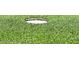 A close-up of a putting green on a sunny day shows the hole at 8535 W Willow Ave, Peoria, AZ 85381