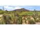 Scenic desert landscape view of a golf course featuring native cacti and a mountain backdrop at 1607 N Quartz Valley Rd, Scottsdale, AZ 85266