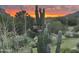 Desert landscape view featuring cacti and native plants against a colorful sunrise backdrop in Arizona at 1607 N Quartz Valley Rd, Scottsdale, AZ 85266