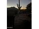 Desert Patio with cactus plants in yard, and mountain view in background at dusk at 1607 N Quartz Valley Rd, Scottsdale, AZ 85266
