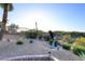 Backyard Desertscape with an eagle statue, unique plants, trees and shrubs at 16304 E Crystal Ridge Dr, Fountain Hills, AZ 85268