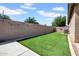 A lush backyard featuring verdant artificial turf, a tall privacy fence, and manicured landscaping at 16861 W Ironwood St, Surprise, AZ 85388