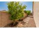 Landscaped side yard with mature trees, a stone walkway, and lush greenery, offering a serene outdoor experience at 21335 N 64Th Ave, Glendale, AZ 85308