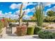 Lush desert landscape featuring a variety of cacti, trees, and flowering bushes and shrubs at 22633 N Clubhouse Way, Scottsdale, AZ 85255